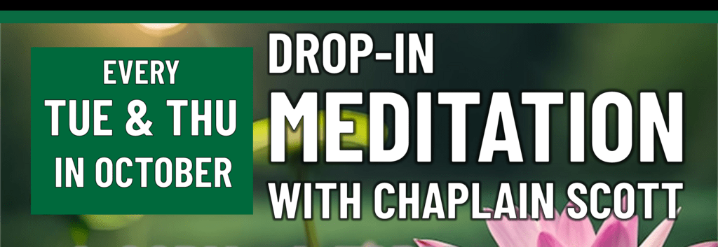 drop in meditation