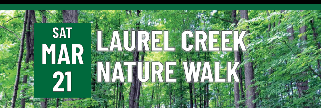 laurel-creek-nature-walk-image