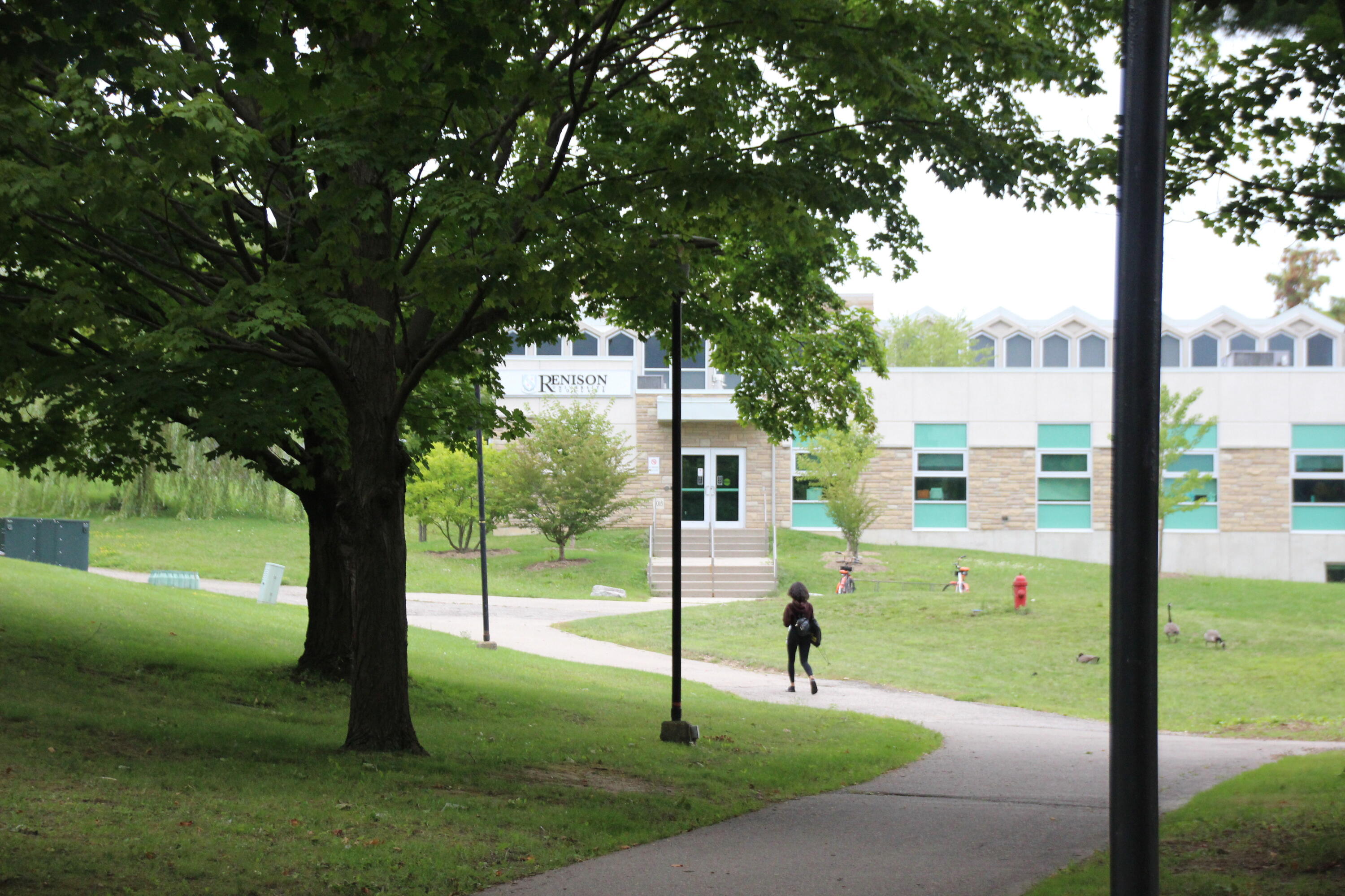outside path leading to Renison