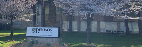 Cherry blossoms around the Renison entrance sign. 