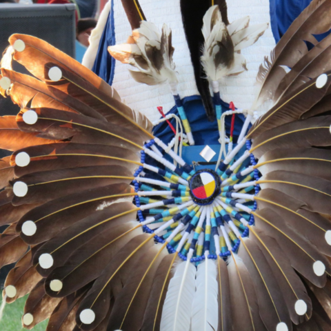 Close up of feather dress arrangement. 
