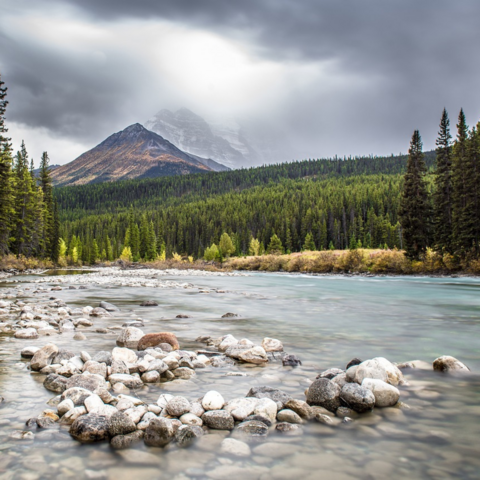 Rocks, river, trees, mountain. 