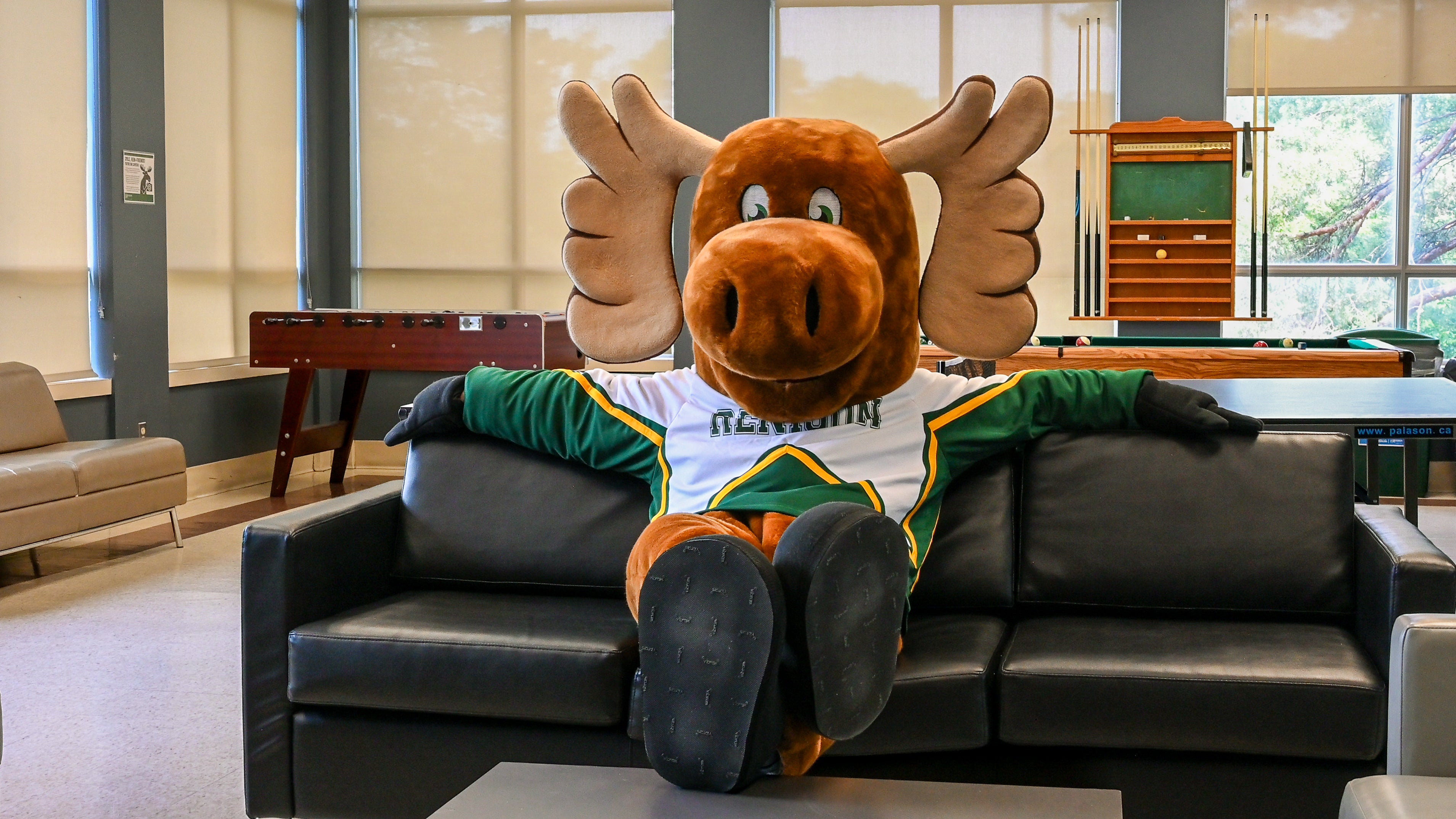 Reni Moose sitting on a couch