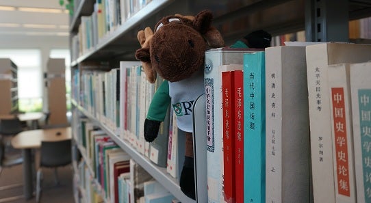 East Asian book shelf with stuffed Renison moose on it 