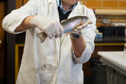 Researcher with fish