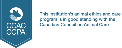 Official image, including ribbon and text from the Canadian Council on Animal Care