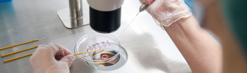 Scientist prepares biological materials for vitrification