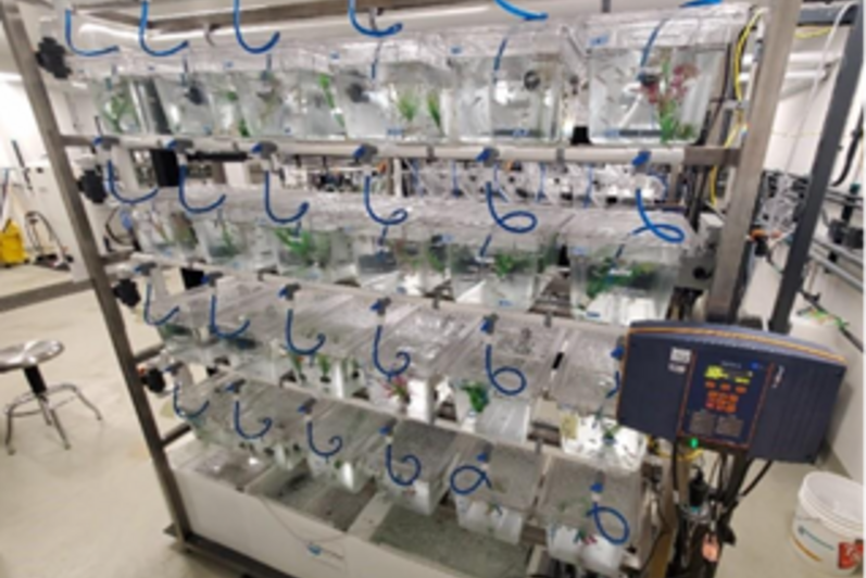 Waterloo Aquatic Threats in Environmental Research (WATER) Facility