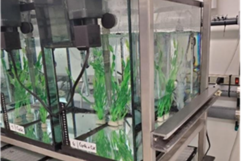 Waterloo Aquatic Threats in Environmental Research (WATER) Facility