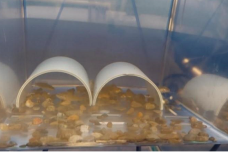 Waterloo Aquatic Threats in Environmental Research (WATER) Facility
