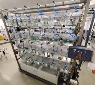 Waterloo Aquatic Threats in Environmental Research (WATER) Facility