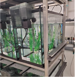 Waterloo Aquatic Threats in Environmental Research (WATER) Facility