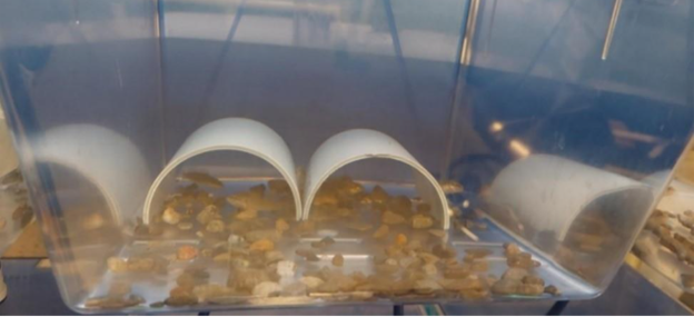 Waterloo Aquatic Threats in Environmental Research (WATER) Facility