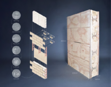 Mycelium wall system