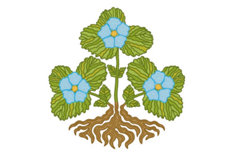 Indigenous graphic representation of blue flowers