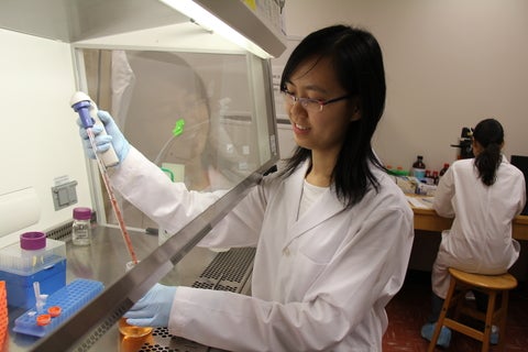 Person in labcoat autopipetting