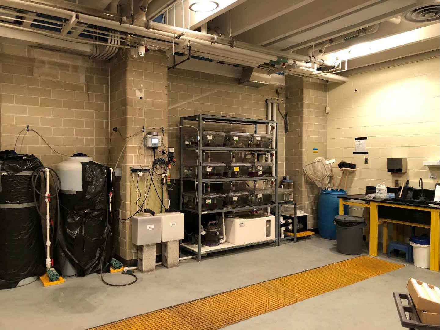 Room within the aquatics facility with equipment