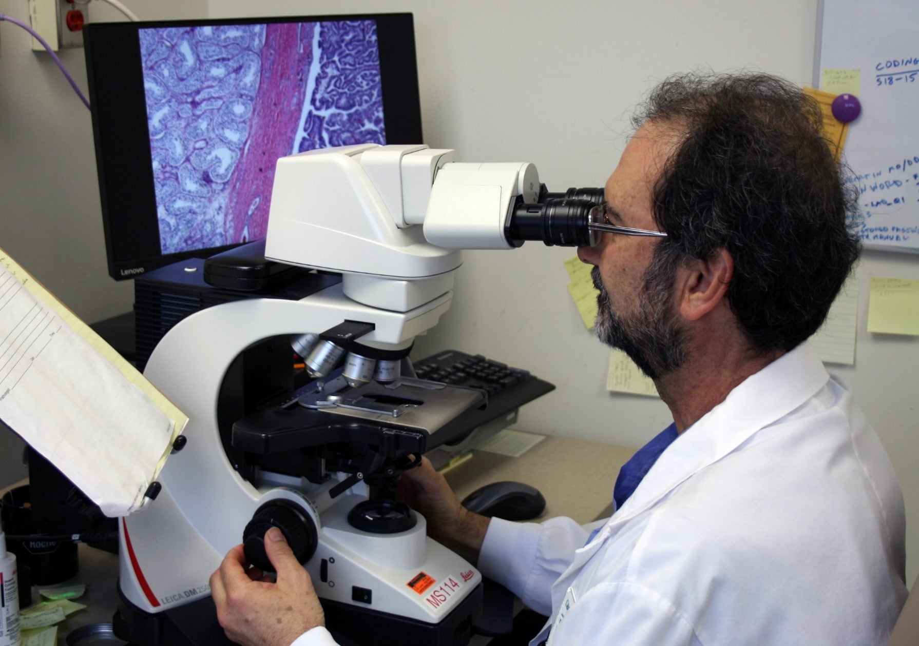 Dr. Adrian Batten, examines pathology slides under a microscope