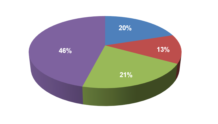 Incremental Project Grant in a Pie Chart with allocation in percentage for five sections