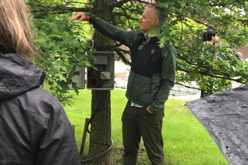 Dr. Bruce MacVicar in front of the tree instrumentation measuring hydrology.