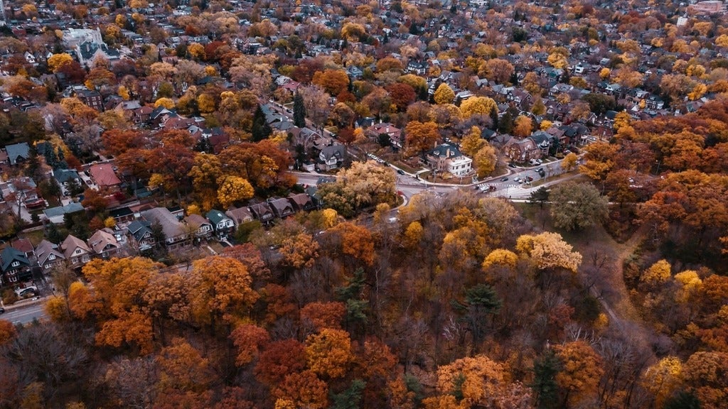 Aerial view of colourful trees surrounding houses