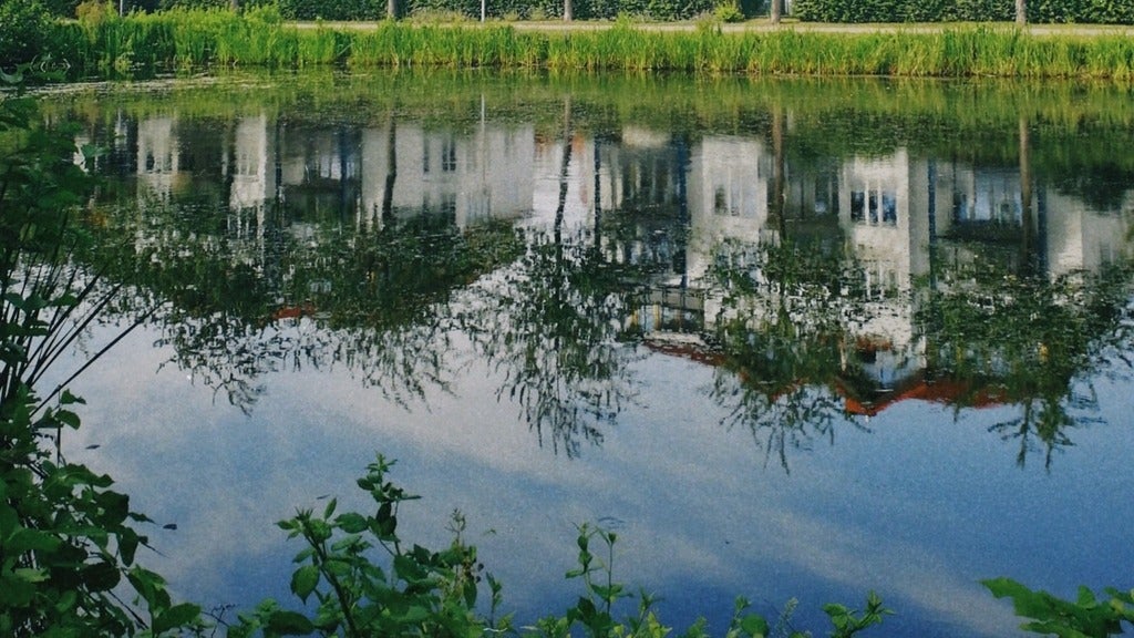 Natural wetland in a residential area