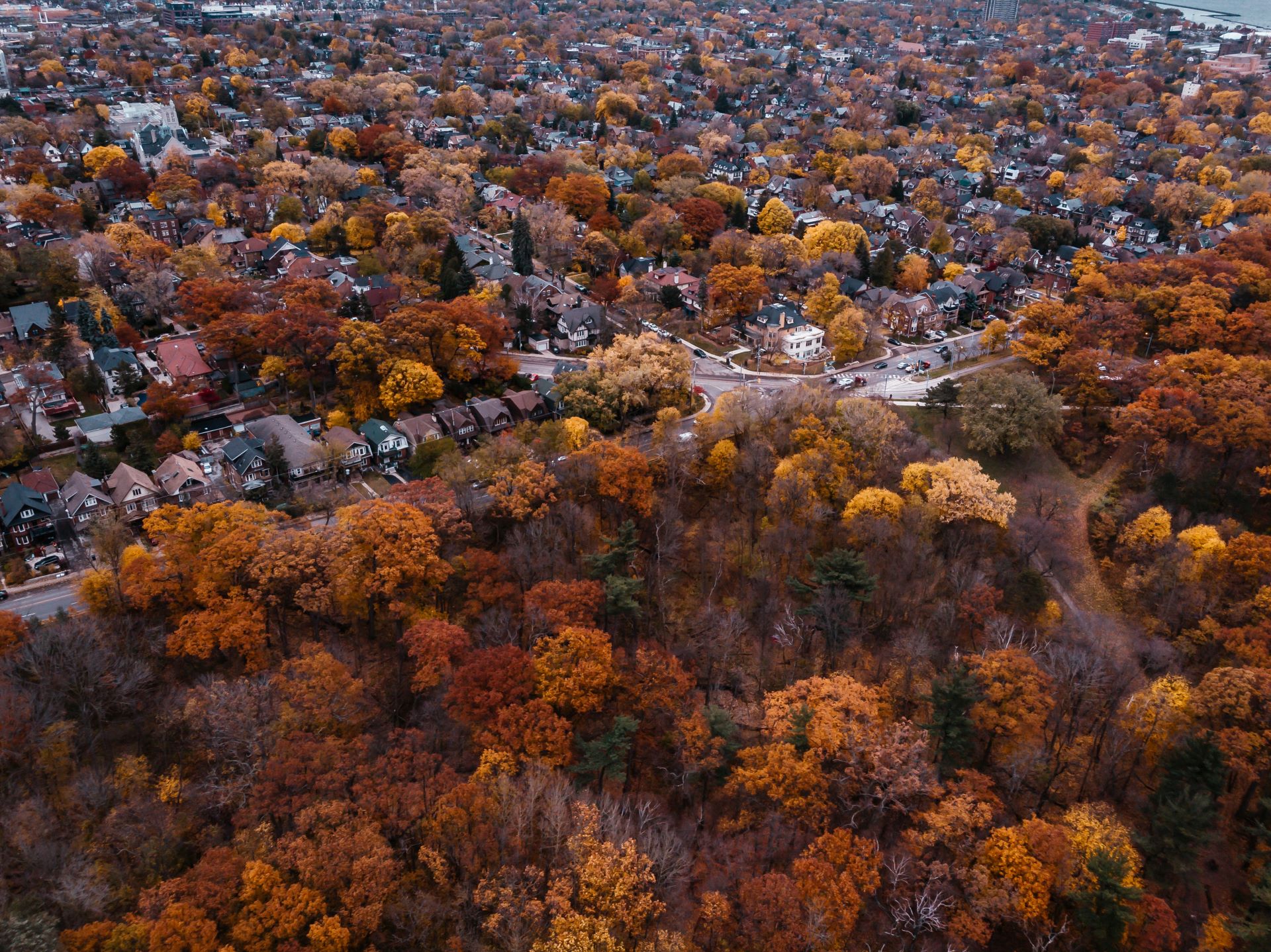 Aerial view of colourful trees surrounding houses