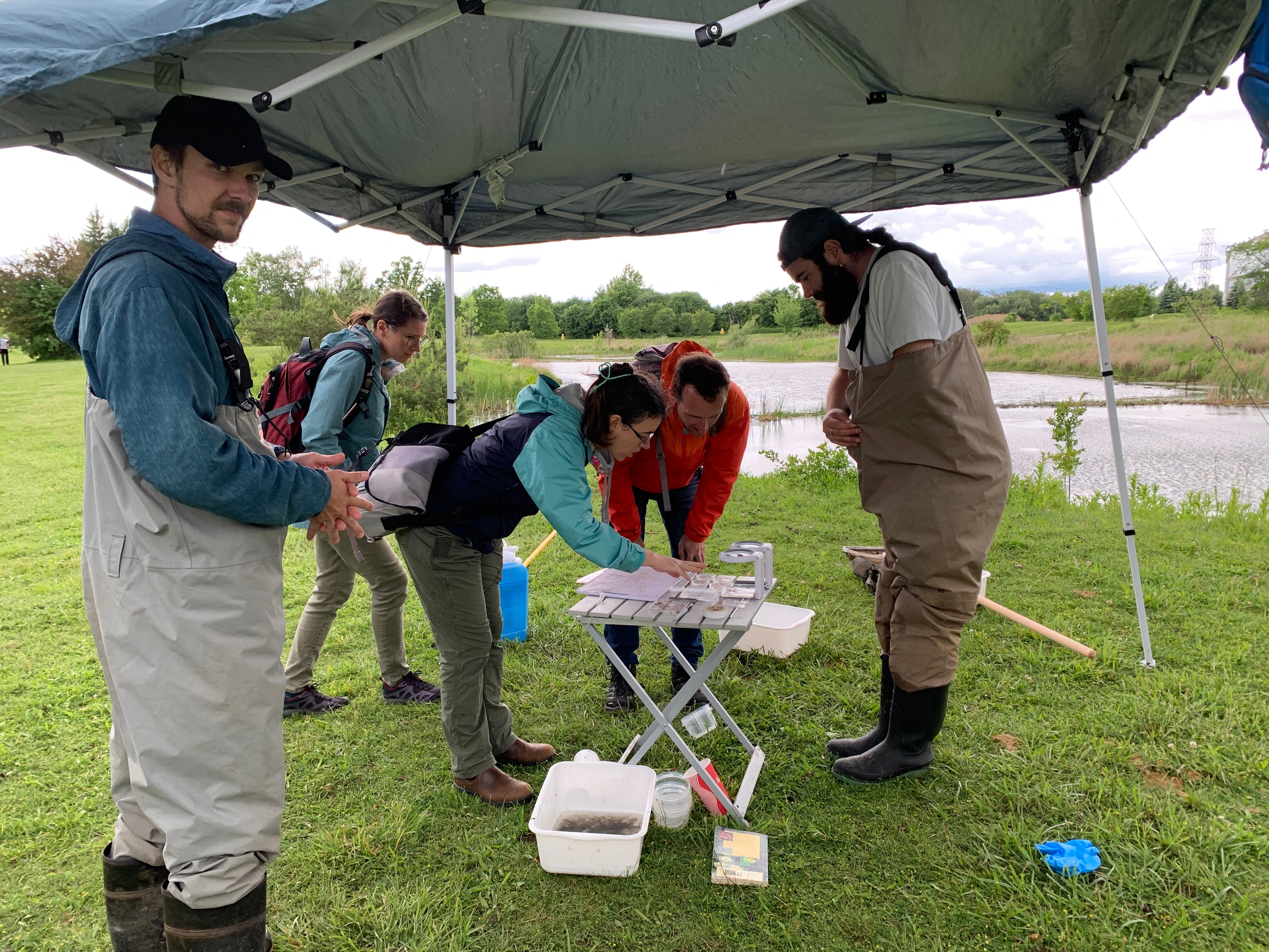 Dr. Rebecca Rooney explaining biodiversity samples to project director Dr. Michael Drescher under a tent. 