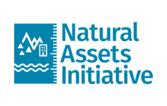 Natural Assets Initiative logo