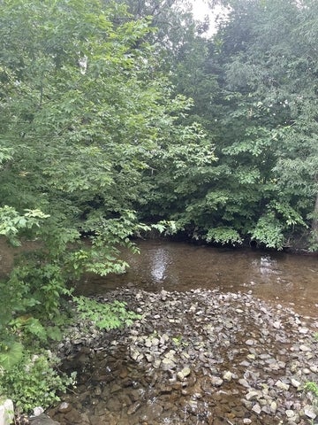 along the Laurel/Forwell Trail
