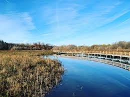 Mike Schout wetlands preserve