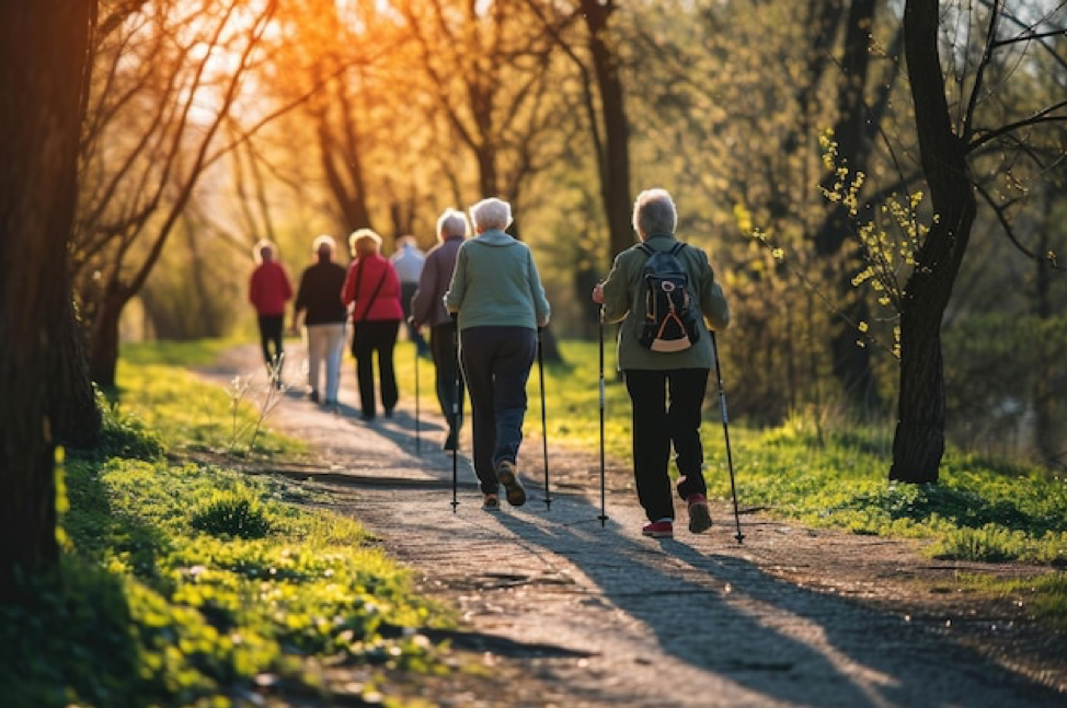 A group of hikers walking in the forest.