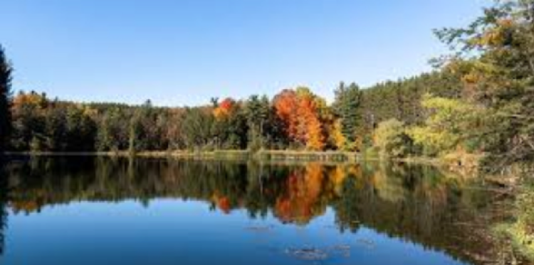Huron park pond with colourful trees and blue sky.