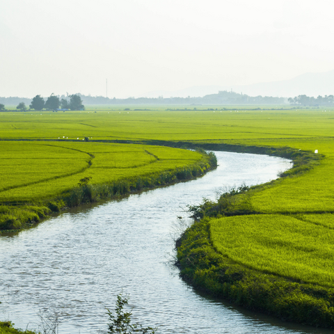 A floodplain with a river meandering through agricultural lands