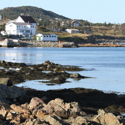 A house overlooking a coastal bay in Atlantic Canada