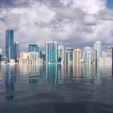 Waterfront city