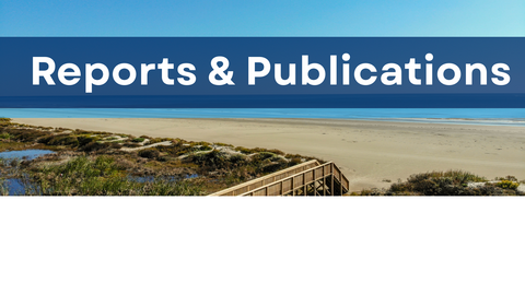Beach with text "Reports & Publications