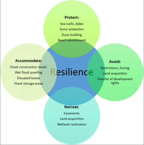 The PARA framework developed by Doberstein et al. 2019