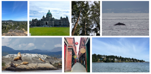 CAG Photo Collage