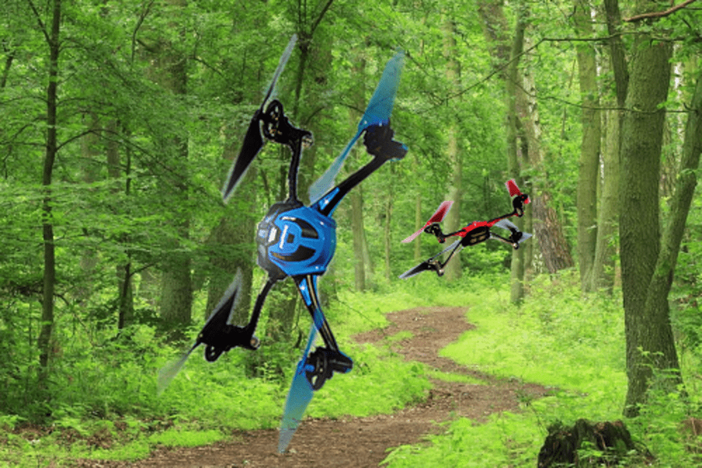 Quadrotors in a Forest.