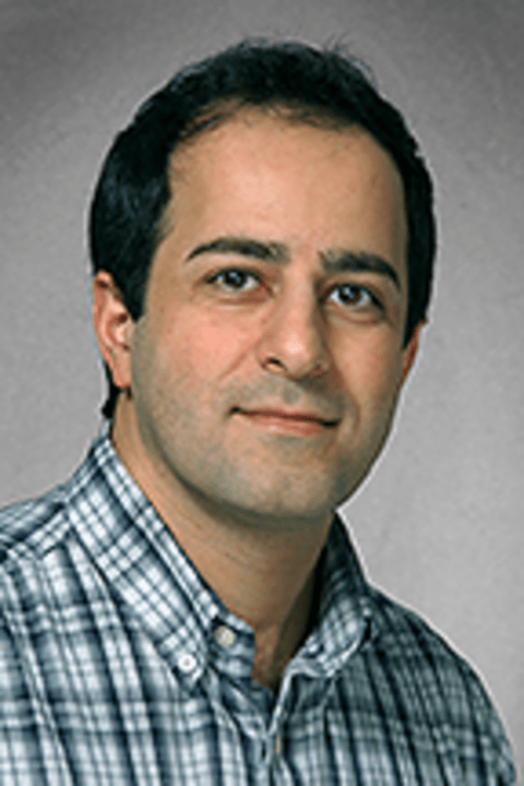 Professor Behrad Khamesee