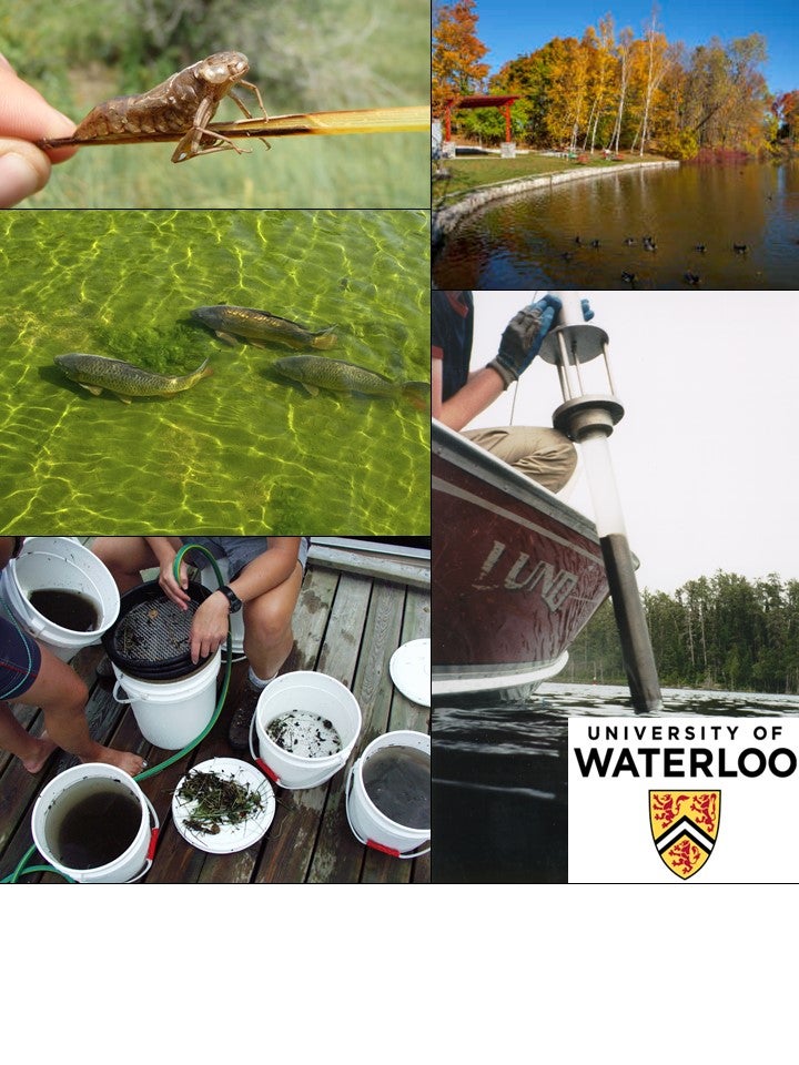 collection of field sampling photos