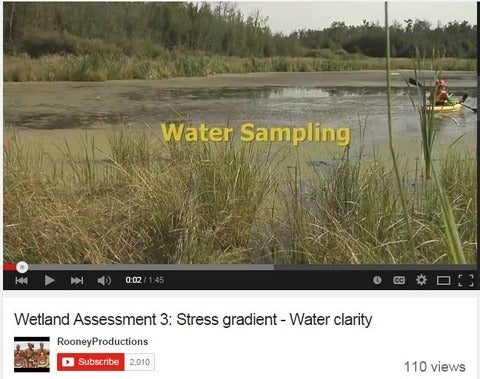 Screen capture of video on wetland assessment