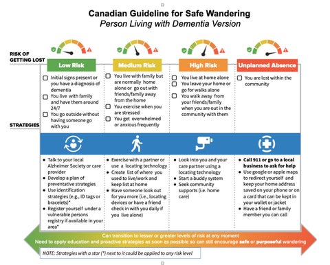 2019 paper guideline for safe wandering