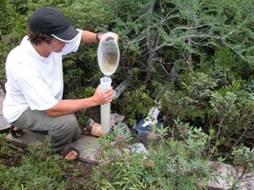 A graduate student collecting water sample from a peatland.