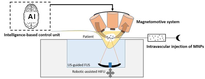 Magnetic field-Assisted FUS