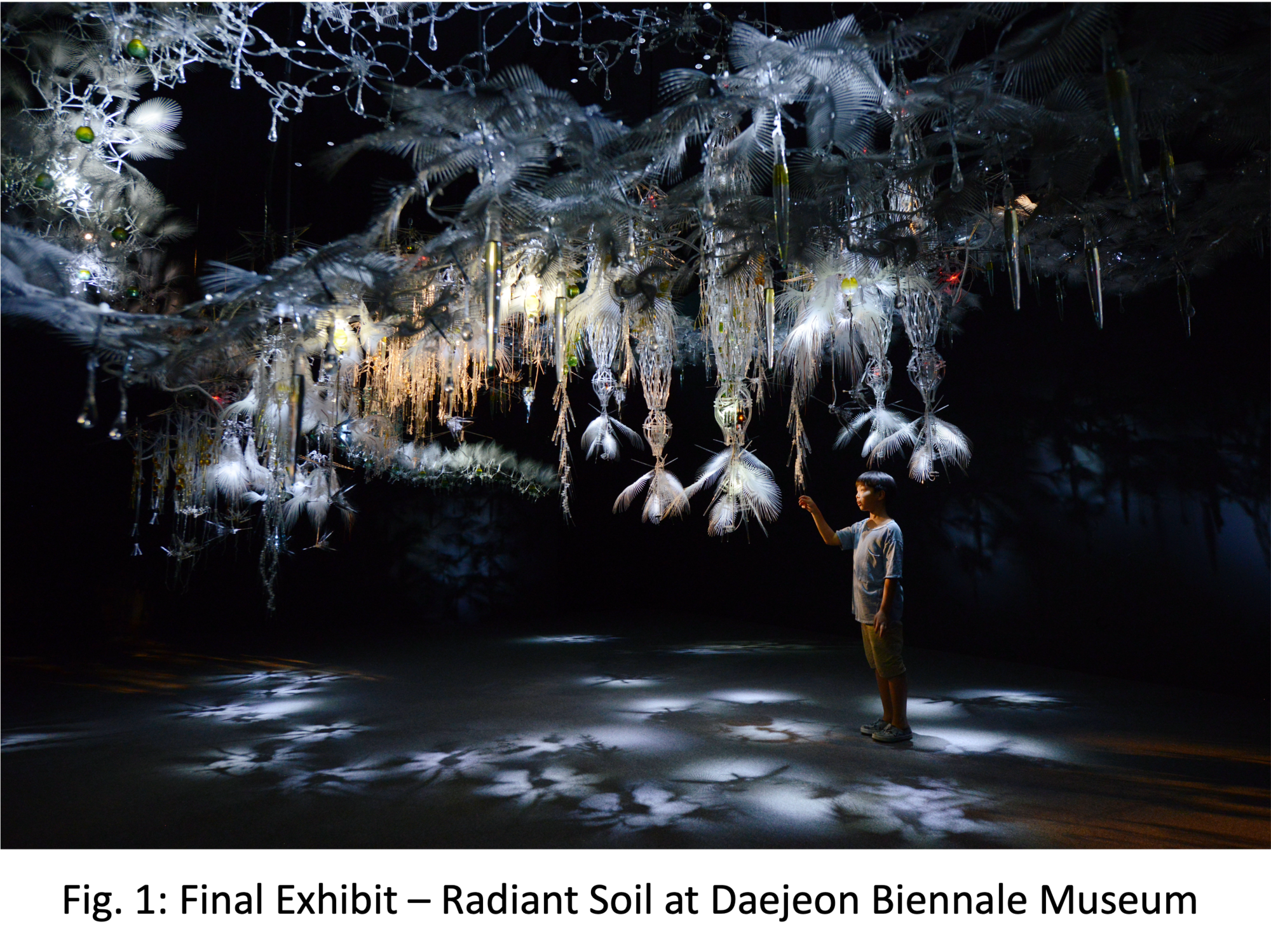 Radiant Soil, Daejeon Biennale Museum