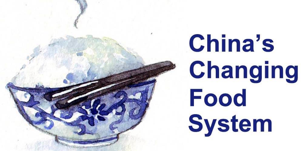China's Changing Food System logo.