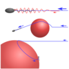 Paper on swimmer-particle scattering accepted in Physical Review Fluids