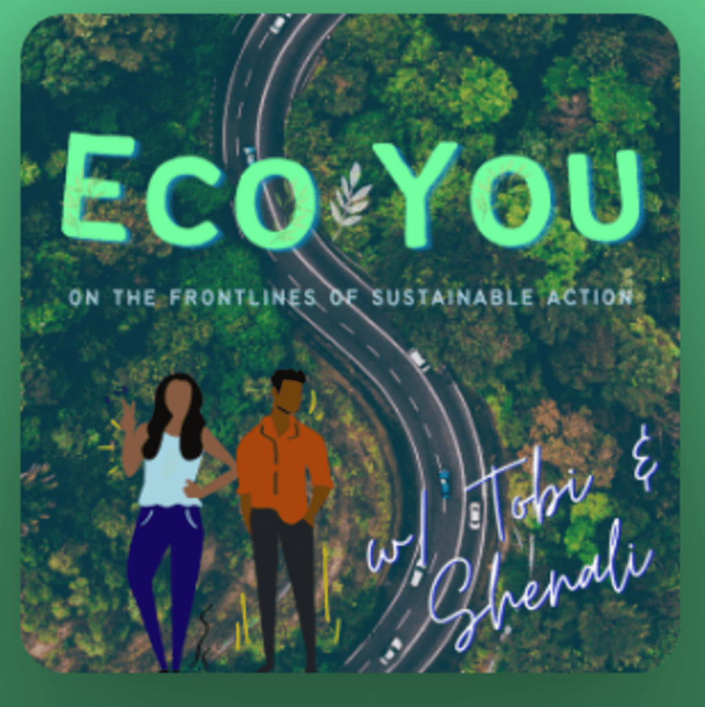 Eco you poster